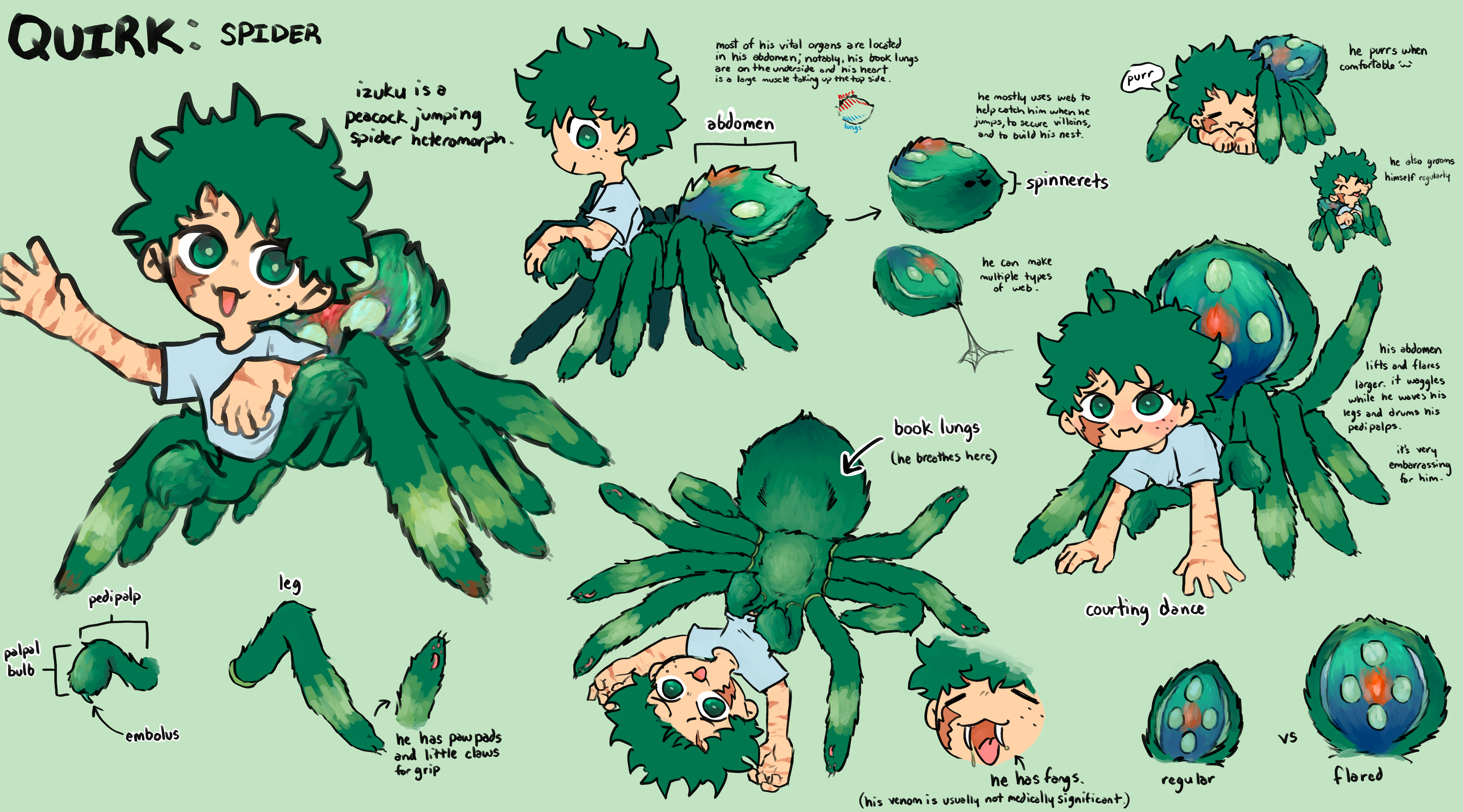 reference sheet example